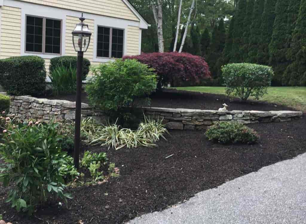 Landscape Maintenance & Installation